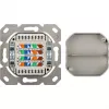 Wentronic Goobay CAT 6 Universaldose inkl. Aufputzmontage-Rahmen, Weiß - 2x RJ45 Netzwerkdose geschirmt (68244)