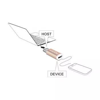 Kaabelsoomuundur DeLOCK 65677 USB 2.0-C to Micro-B