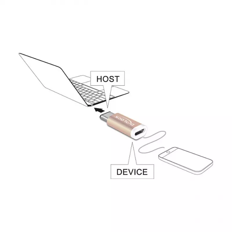 Kaabelsoomuundur DeLOCK 65677 USB 2.0-C to Micro-B