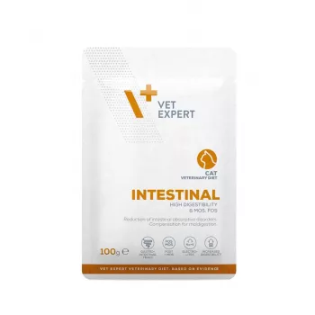 VetExpert Veterinary Diet Intestinal märg kassitoit 100 g
