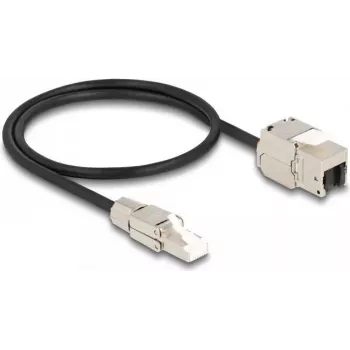 DeLOCK kaabel RJ45 pistik väliühenduseks kuni Keystone moodul RJ45 pesa Cat.6A 50 cm