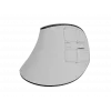 Juhtmeta vertikaalne hiir NATEC Euphonie Pro Bluetooth 5.0, 4000 DPI, programmeeritav, vaikne, valge
