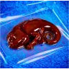 Liscianigiochi teaduskomplekt Crazy Science Slime Chameleon 304-PL89246 – hariv limalabori katsetuskarp