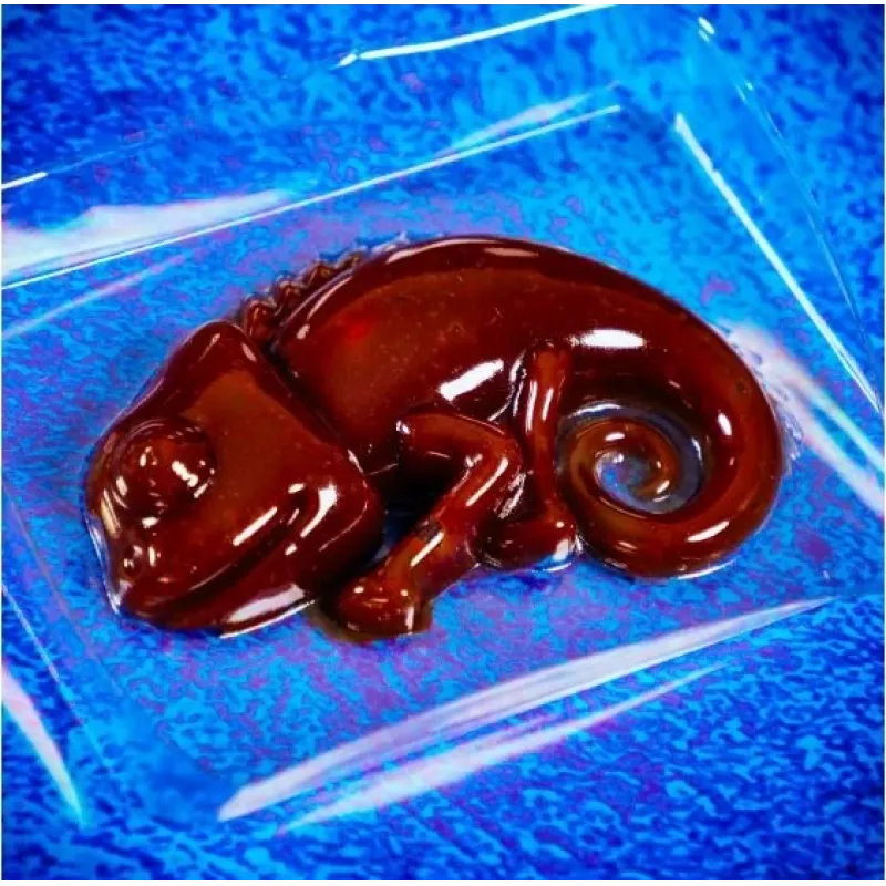 Liscianigiochi teaduskomplekt Crazy Science Slime Chameleon 304-PL89246 – hariv limalabori katsetuskarp