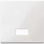 Lüliti Merten 432819 — valge termoplastist, nuppjuhtimine, üksikpakend