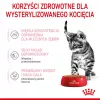 Märg kassitoit Royal Canin Sterilised Gravy, 12 x 85 g kotikest — kana, steriliseeritud/kastreeritud kassipoegadele, 11% valku, 80,5% niiskust