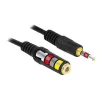 DeLOCK 84668 helikaabel 3 m 3,5 mm Must