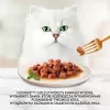 Purina kasside niisktoit 85 g