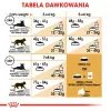 Kuiv kassitoit Royal Canin Bengal Adult 2 kg — linnuliha, 40% valku, 18% rasva, seedimise ja naha hooldus