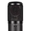 sE Electronics sE2300 Must Stage/performance microphone