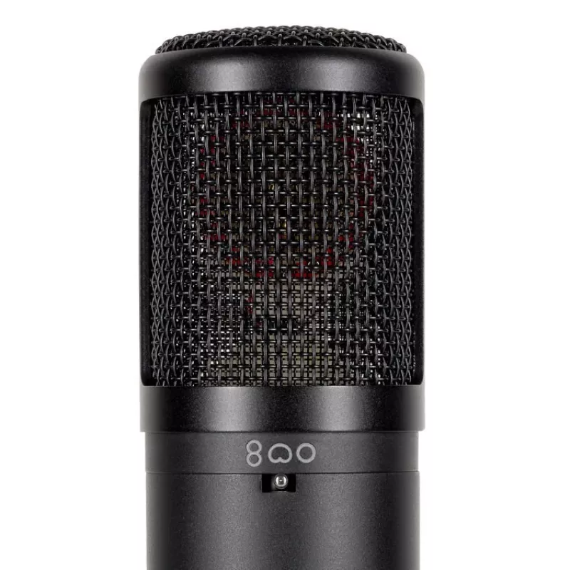 sE Electronics sE2300 Must Stage/performance microphone
