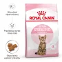 Kuiv kassitoit Royal Canin Kitten Sterilised 3,5 kg — linnuliha, 34% valku, 12% rasva