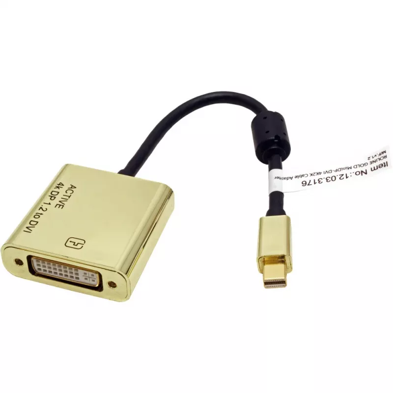 Video kaabli adapter ROLINE 12.03.3176 Mini DisplayPort -> DVI-D 0,1 m