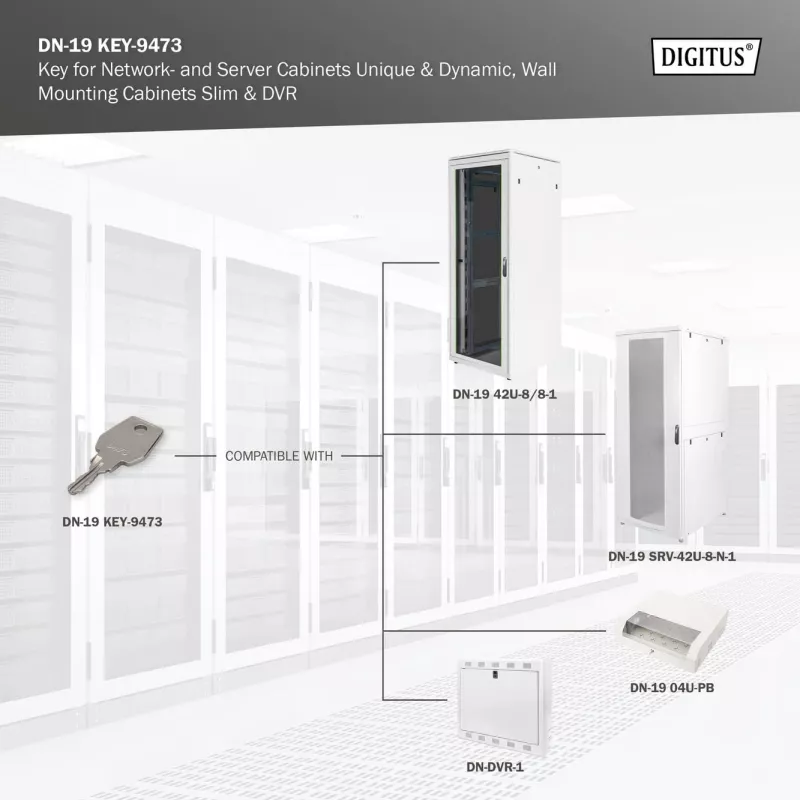 Võti võrgu- ja serverikappidele Digitus DN-19 KEY-9473