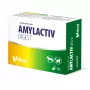VETFOOD Amylactiv seedimist toetav toidulisand koertele ja kassidele 30 kapslit