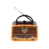 Analog raadio BLOW RA10 AM/FM päikeseenergial 77-540 — AM/FM vastuvõtja päikesepaneeli ja akuvarundusega