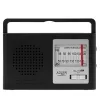 Raadio AM/FM AD1909