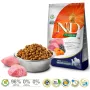 FARMINA N&D Pumpkin Lamb&Blueberry Adult Medium & Maxi - kuiv koeratoit - 12kg
