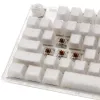Ducky One 3 TKL klaviatuur Mängimine USB QWERTY Inglise Valge