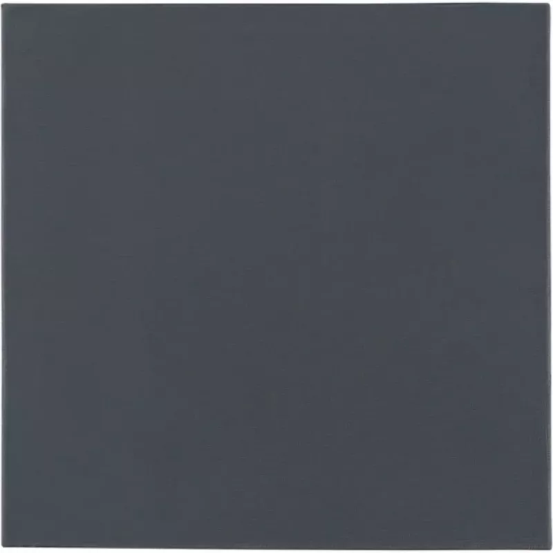 Thermal Grizzly Minus Pad Pro - 100 x 100 x 1,0 mm