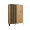 KAMARO 2DD õhuke/GŁ tamm ARTISAN DISPLAY CABINET