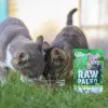 Märg kassitoit VETEXPERT RAW PALEO Adult Sterilised Game 100 g — hirveliha, teraviljavaba, ülekaalutendentsile