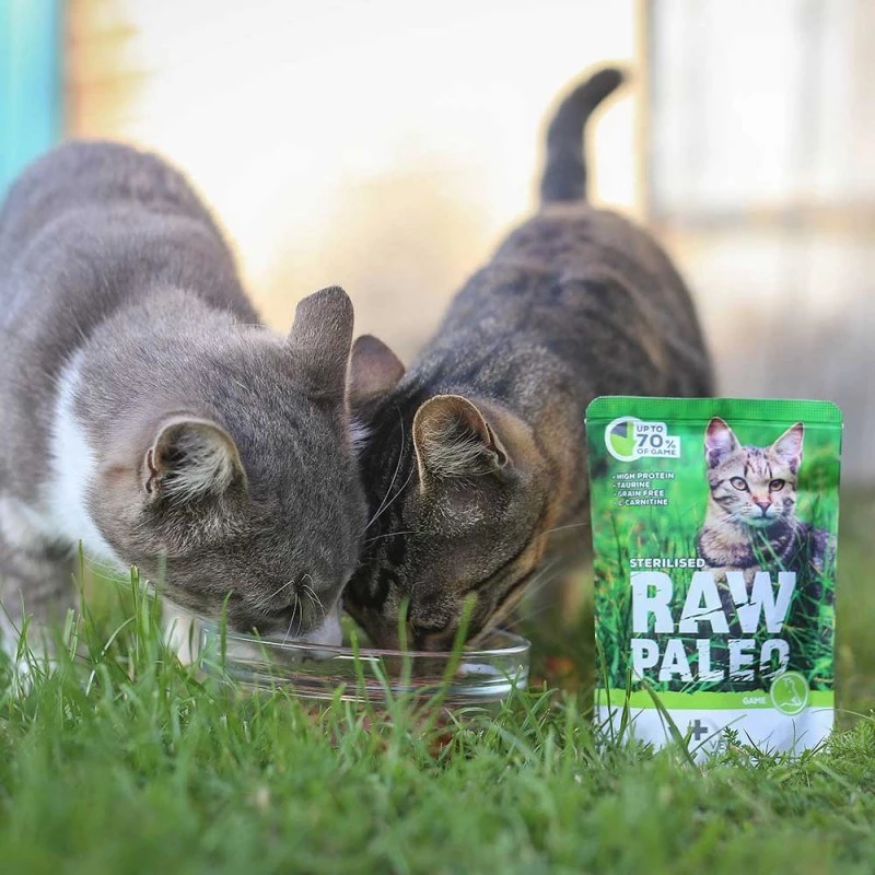 Märg kassitoit VETEXPERT RAW PALEO Adult Sterilised Game 100 g — hirveliha, teraviljavaba, ülekaalutendentsile