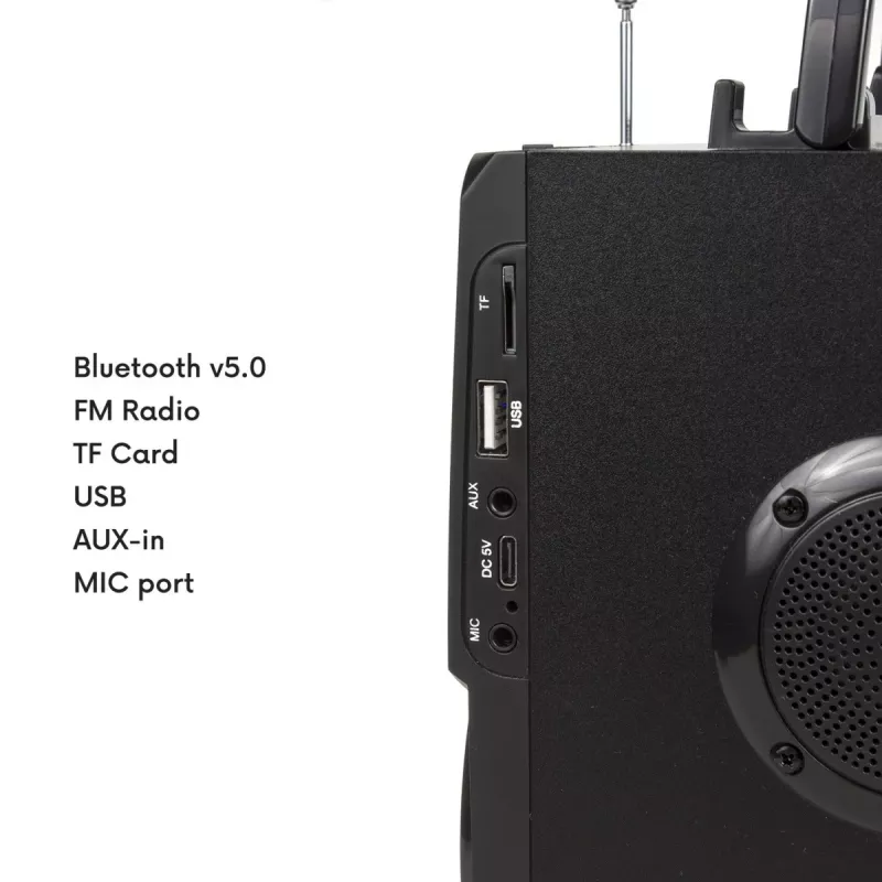 Bluetooth-kõlar Audiocore AC730, must
