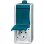 Busch-jaeger 2CKA001684A0324 sinine