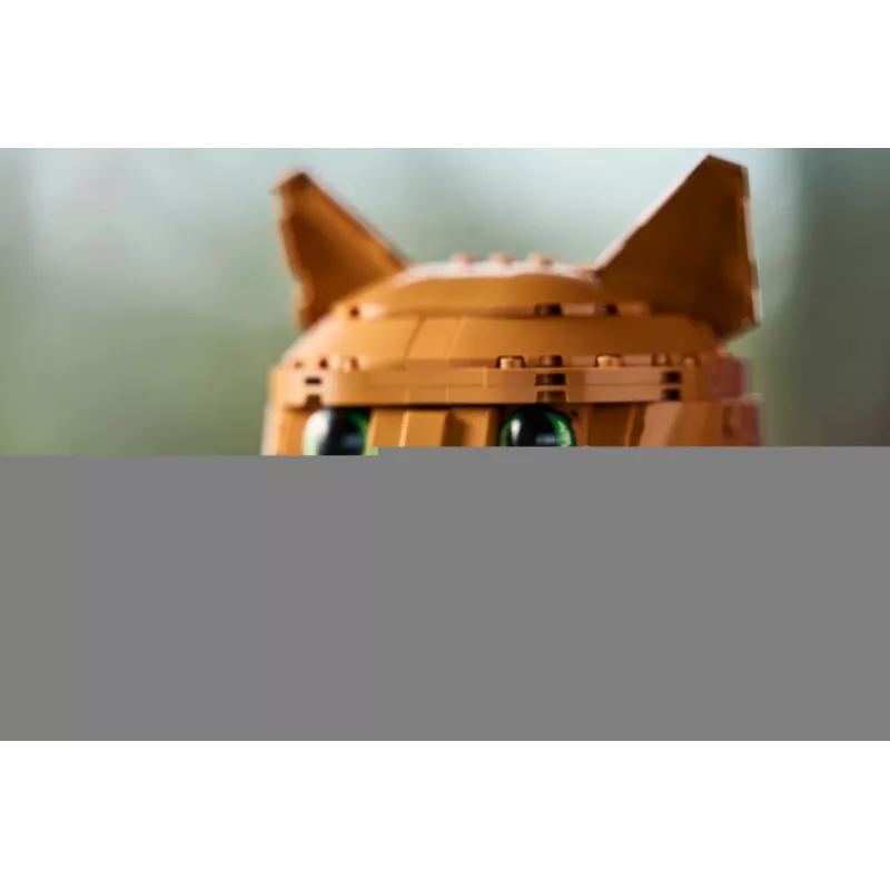 LEGO IDEAS 21376 oranž Cat