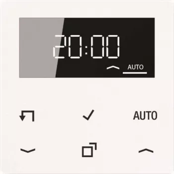 JUNG A 1750 D WW Timer Standard Display Echtglasfront