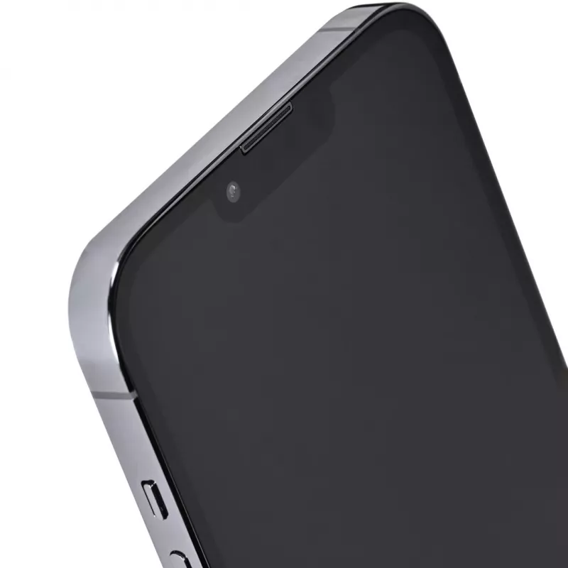 Apple iPhone 13 Pro Max 6.7 Dual SIM iOS 15 5G 256 GB Must Remade / taastatud