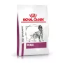 ROYAL CANIN Veterinary Renal kuiv koeratoit - 2kg