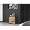 Topeshop M3 ANTRACYT/ARTISAN kummut