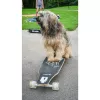 Longboard Muuwmi Lights GLOW ABEC 7 valgusratastega, must/roheline
