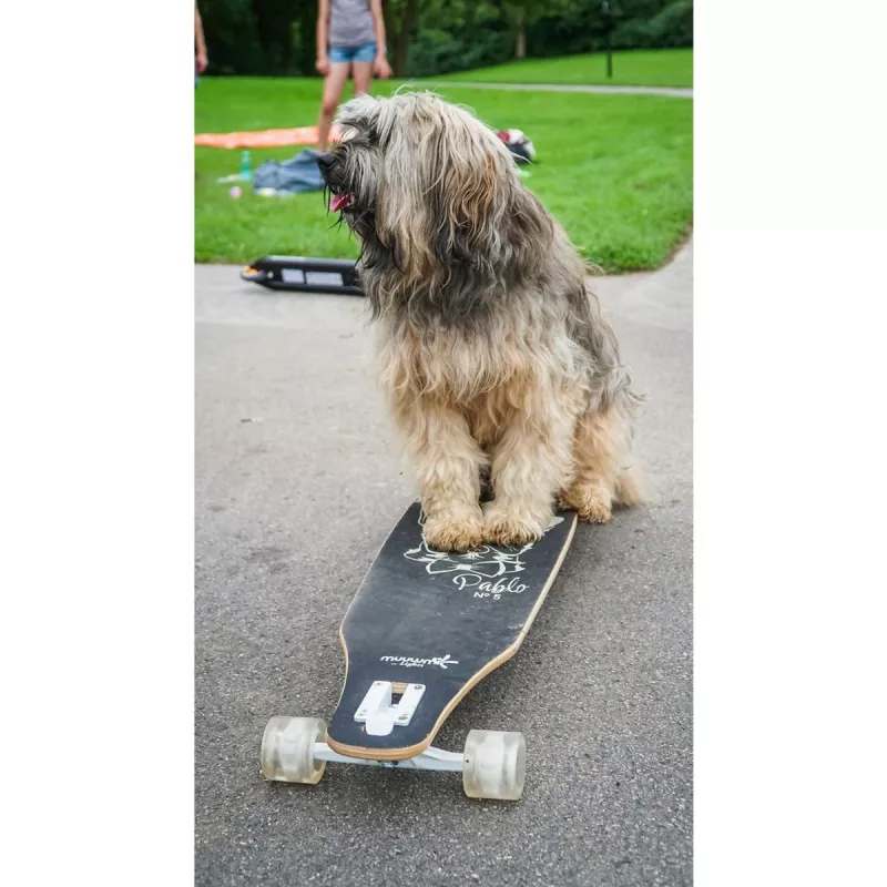 Longboard Muuwmi Lights GLOW ABEC 7 valgusratastega, must/roheline