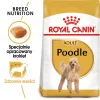 Kuiv koeratoit Royal Canin Poodle Adult 1,5 kg — kana, 30% valku, 19% rasva