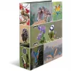 Ringbinder HERMA 19254 A4 Mitmevärviline D-rõngaga hoiustamine 285x315mm