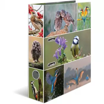 Ringbinder HERMA 19254 A4 Mitmevärviline D-rõngaga hoiustamine 285x315mm