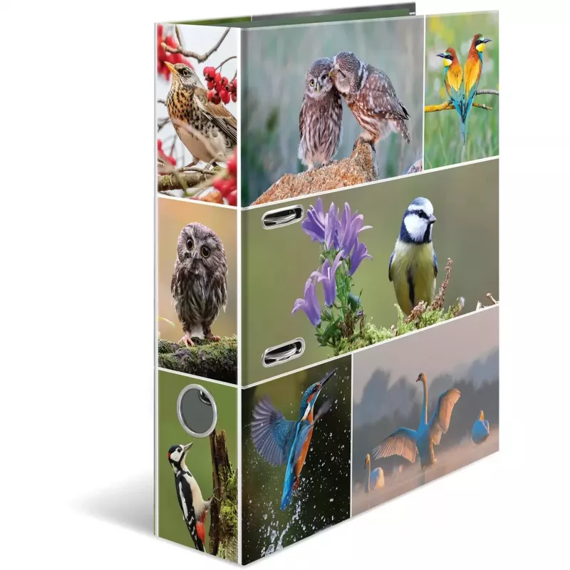Ringbinder HERMA 19254 A4 Mitmevärviline D-rõngaga hoiustamine 285x315mm