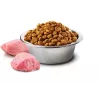 Farmina Pet Food koerte kuivtoit 2.5 g Täiskasvanud Kana