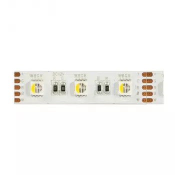 Synergy 21 LED Flex Strip 5050 - 60 RGB DC24V + RGB-W ühe kiibiga nw IP68