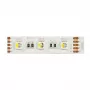 Synergy 21 LED Flex Strip 5050 - 60 RGB DC24V + RGB-W ühe kiibiga nw IP68