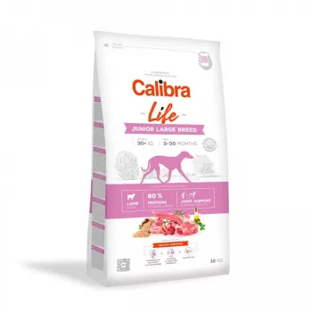 Kuiv koeratoit Calibra Life Junior Large Breed Lamb 12 kg — kuivad graanulid suurt tõugu kutsikatele, 28% valku, 15% rasva
