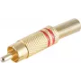 shiverpeaks BS52020-R Juhtmeühendus RCA Kuldne (BS52020-R)