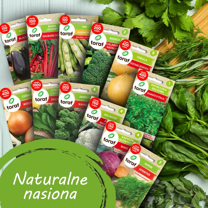 Toraf Vegetable Seed Harmony Set - 12 Packages