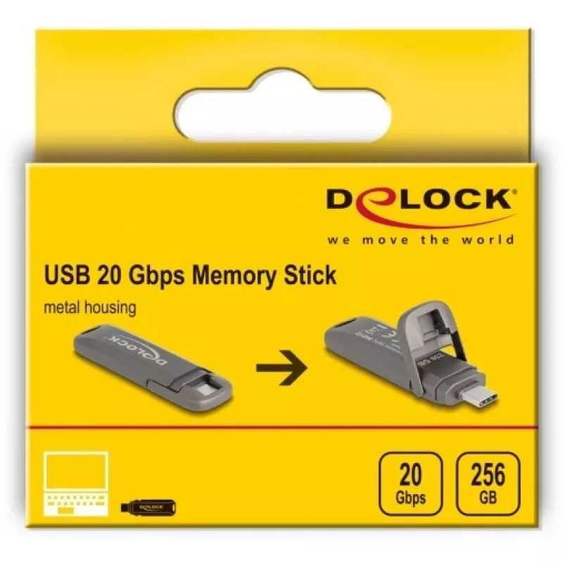 USB-mälupulk DeLOCK 54012 256 GB USB USB-C hall