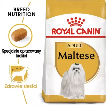 Kuiv koeratoit Royal Canin Maltese Adult 1,5 kg — kana, 24% valku, 18% rasva