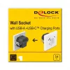 DeLOCK 11489 pistikupesa CEE 7/3 + USB valge 250V 16A