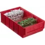 Hoiukast allit 456531, 185×300×81 mm, punane, plastist osade korraldaja